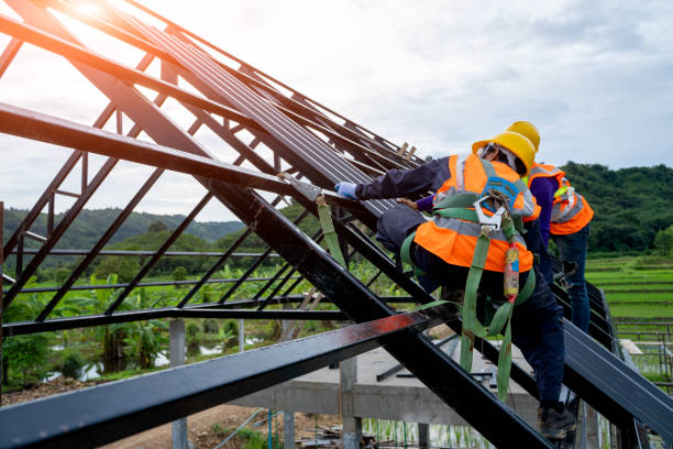 Roof Gutter Cleaning in Jackson, WY