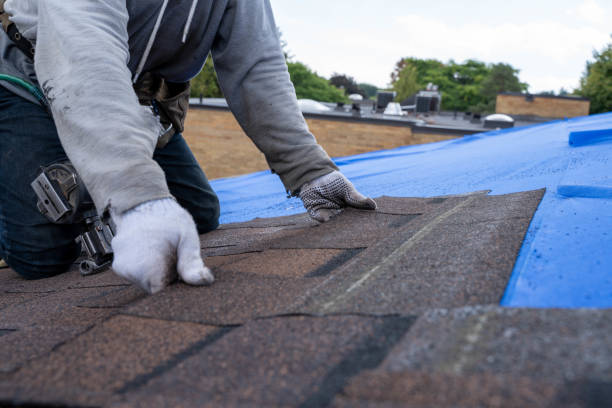 Quick and Trustworthy Emergency Roof Repair Services in Jackson, WY