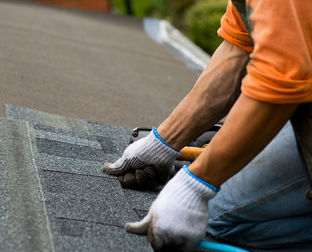 Roof Waterproofing Services in Jackson, WY