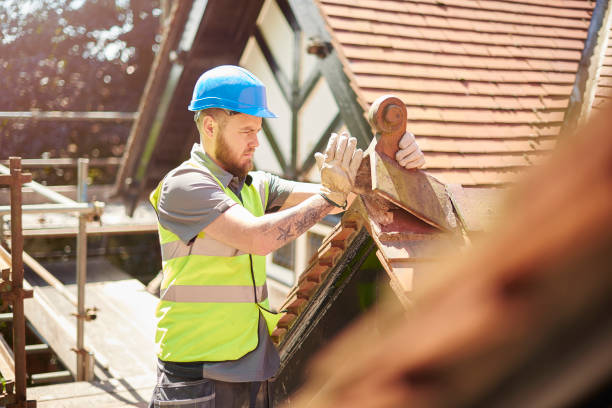 Best Storm Damage Roof Repair  in Jackson, WY