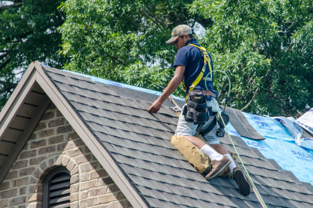 Best Metal Roofing Contractor  in Jackson, WY